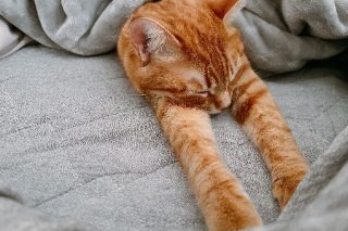 「春の過ごし方」